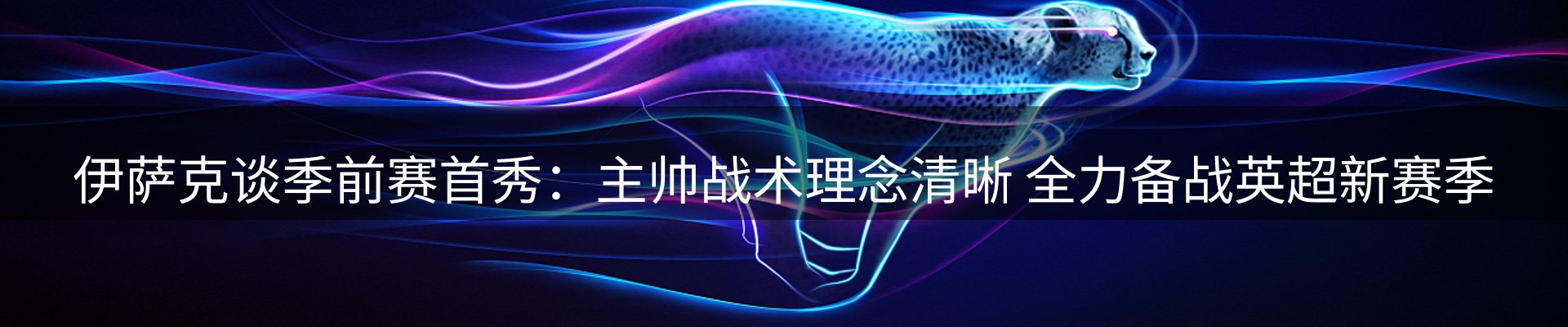 最新动态