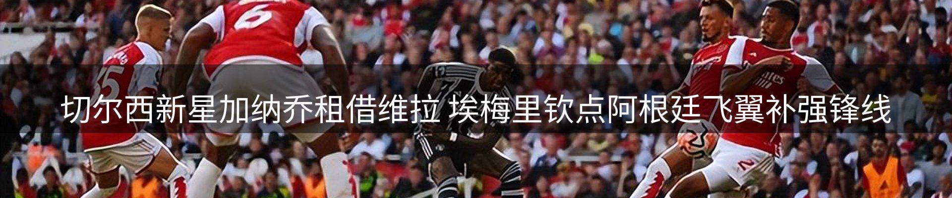 最新动态