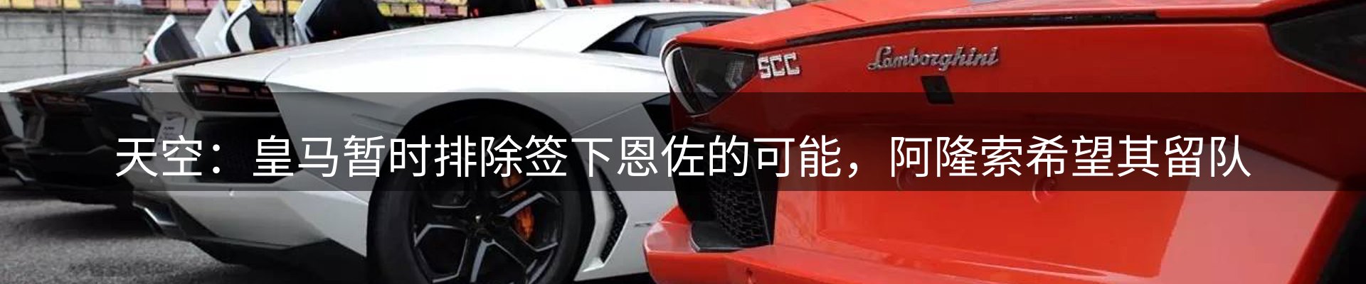 最新动态