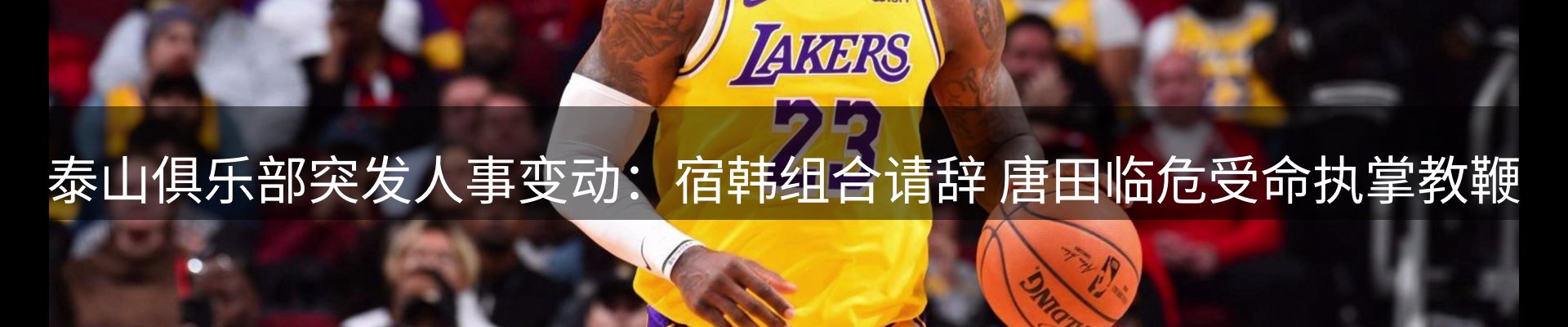 最新动态