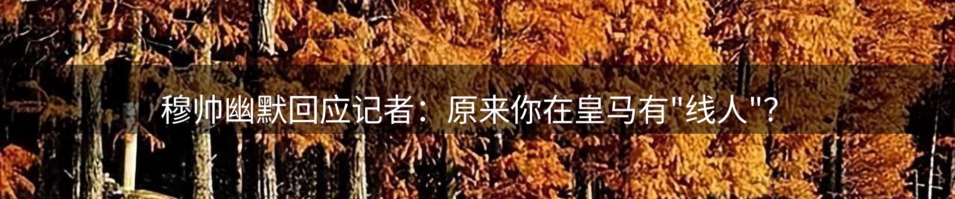 资讯报道