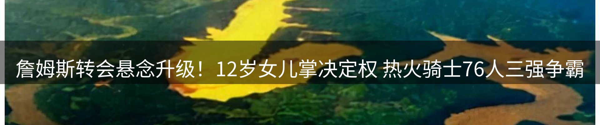 最新动态