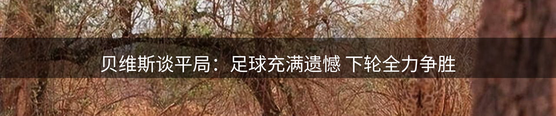 资讯报道