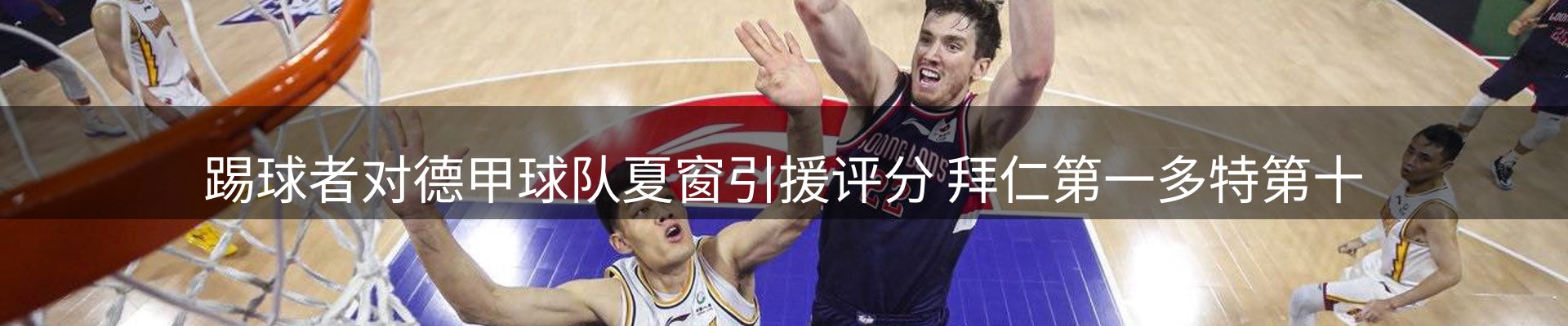 最新动态