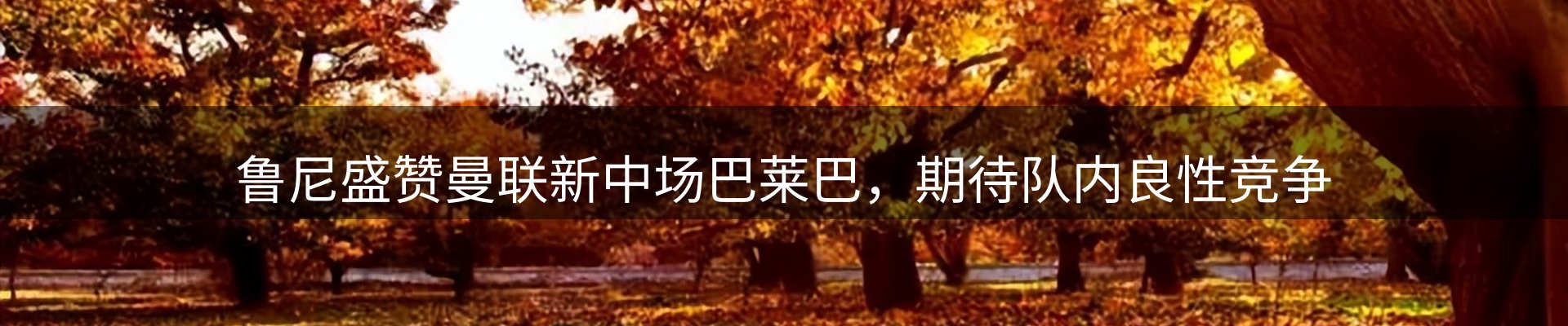 资讯报道