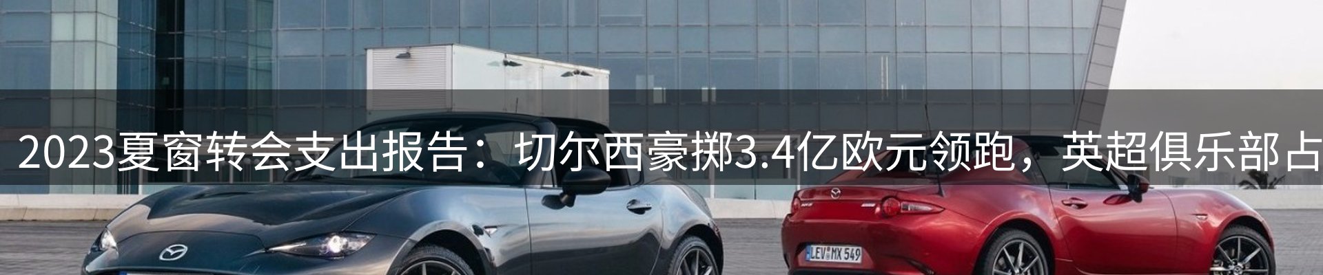 最新动态