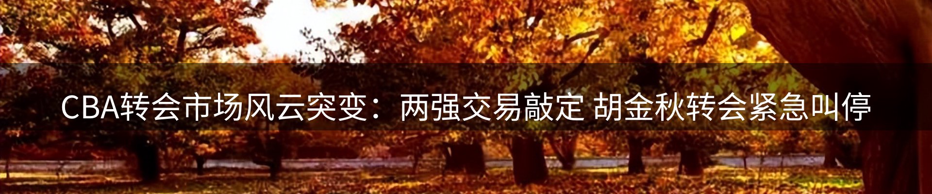 最新动态