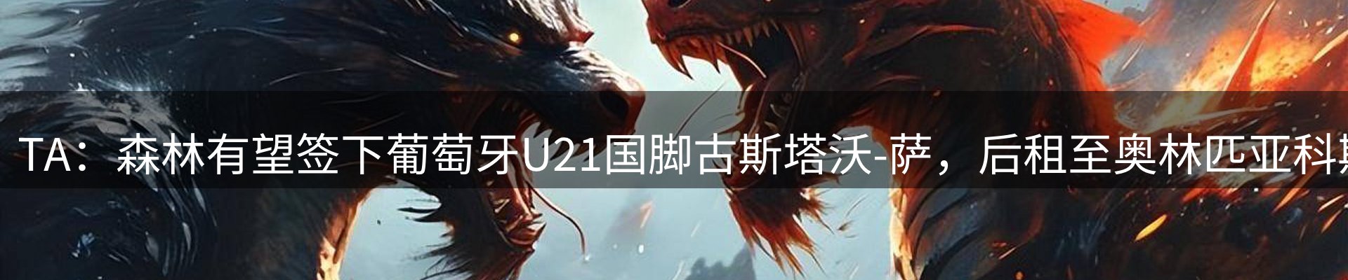 最新动态